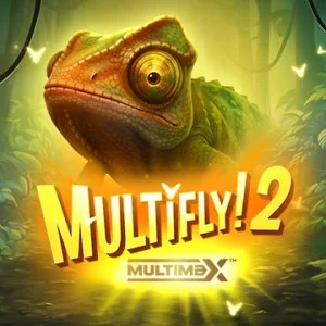 MultiFly! 2 MultiMax