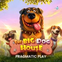 The Big Dog House