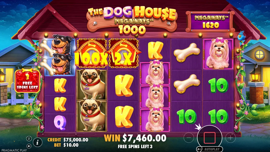 Screenshot gameplay The Dog House Megaways 1000